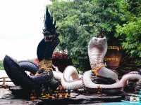 วัดป่าปากโดม