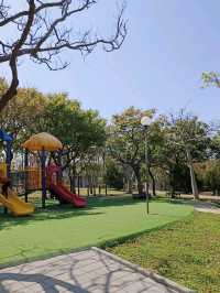 台中沙鹿鎮立公園公園旁的大型籃球場成為年輕人聚集的熱點