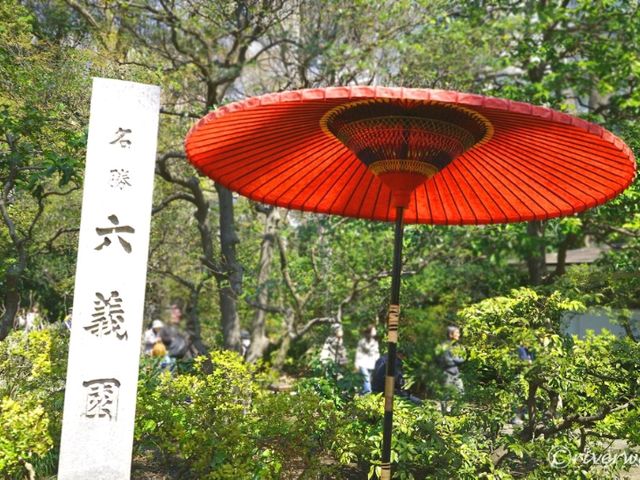 【東京】圧巻の枝垂れ桜の大木！「六義園」