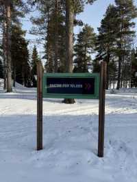 Magical Stay Ranua Resort Arctic Igloo