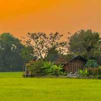 ที่พักกลางทุ่งนา #เชียงใหม่ ฟีลโคตรดี 🏠🛁🌾