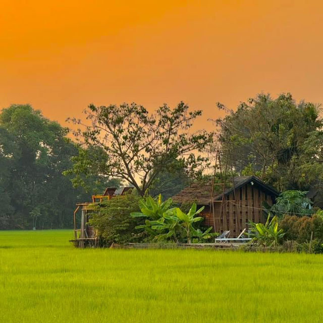ที่พักกลางทุ่งนา #เชียงใหม่ ฟีลโคตรดี 🏠🛁🌾