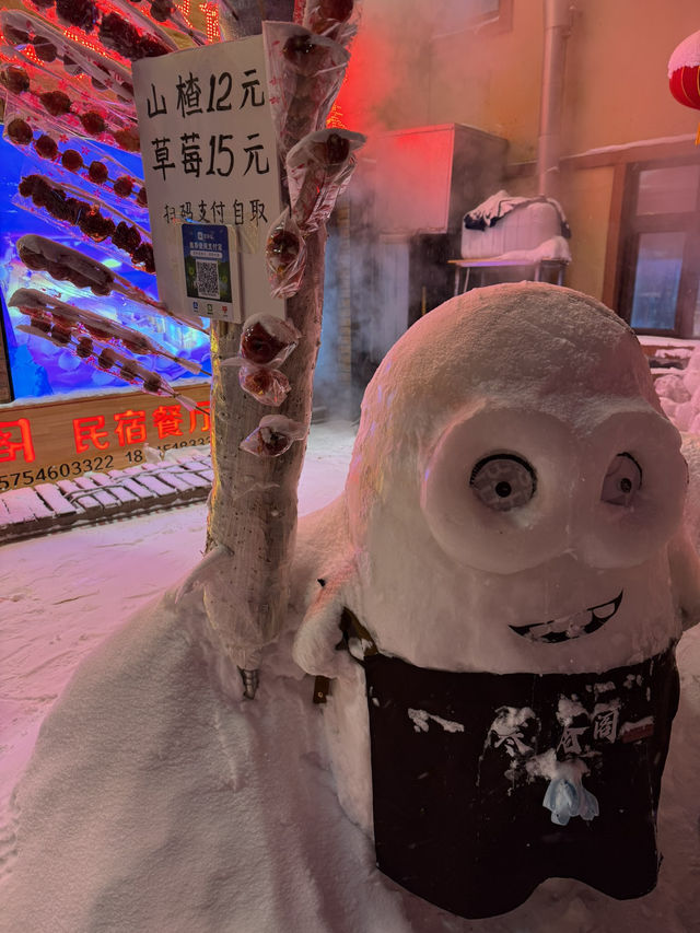 🇨🇳哈爾濱雪鄉必去蘑菇🍄‍🟫屋打卡位🔥🔥🔥