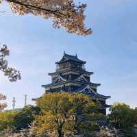 春遊廣島城，原爆毀滅後重生的鯉魚城