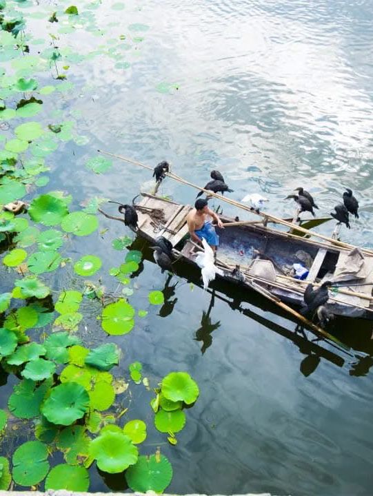 Jining: A Living Tapestry of l 🏯