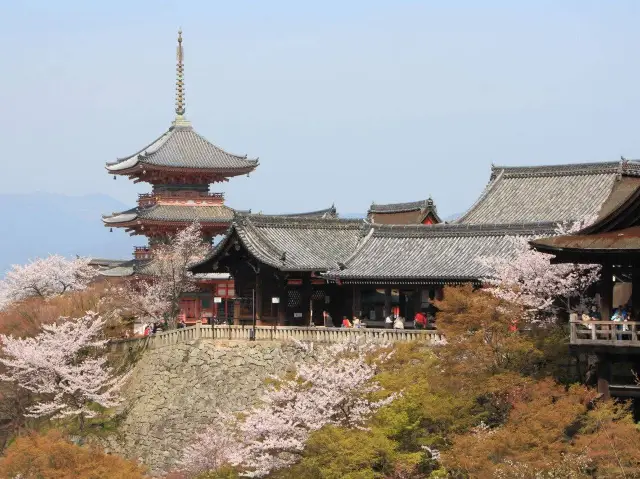 Chasing Sakura in Kyoto Prefecture 
