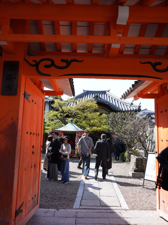 【京都×春旅】カラフルで人気のフォトスポット！