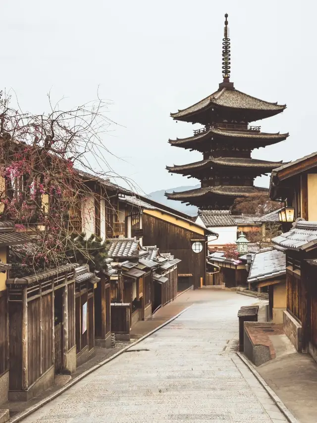 Chasing Sakura in Kyoto II