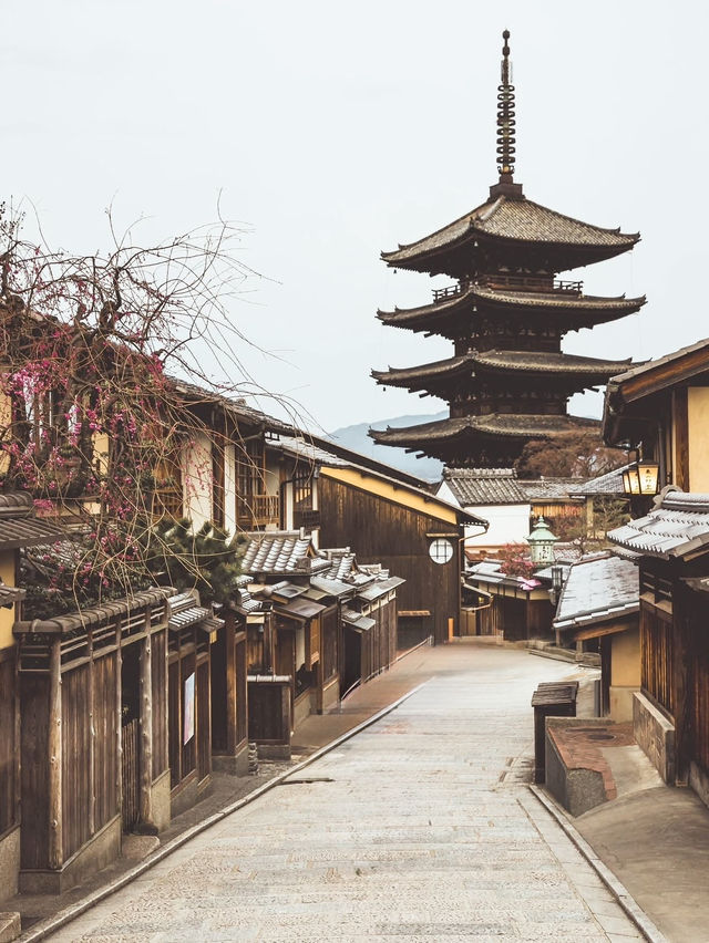 Chasing Sakura in Kyoto II