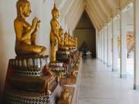 วัดพิกุลทอง