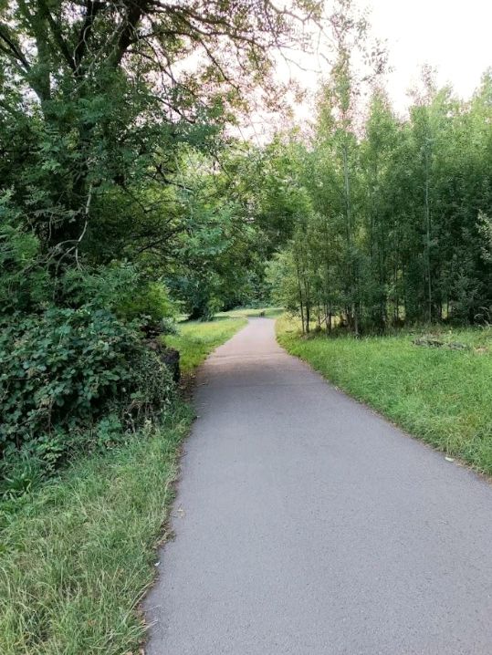 Bute Park