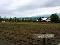 Hokkaido (ฮอกไกโด)