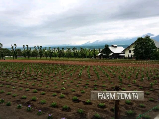 Hokkaido (ฮอกไกโด)