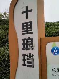 Tea Trails and Temple Tranquility: My Hangzhou Discovery