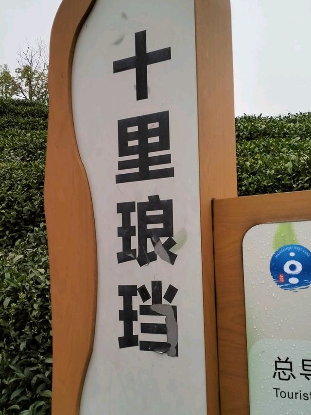 Tea Trails and Temple Tranquility: My Hangzhou Discovery