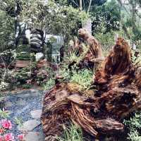 萬里杜鵑花季｜免費賞花好去處，春日漫遊半日遊推薦！