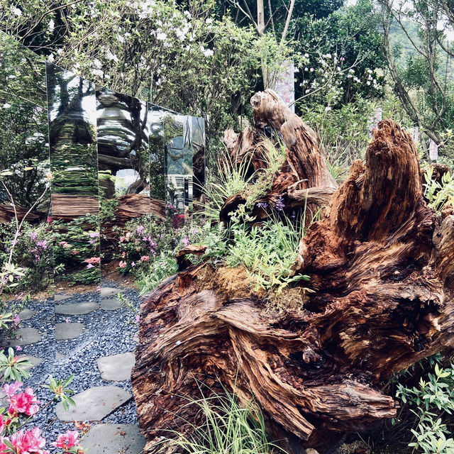 萬里杜鵑花季｜免費賞花好去處，春日漫遊半日遊推薦！