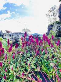 Spring Visit to Batur Hot Spring Garden