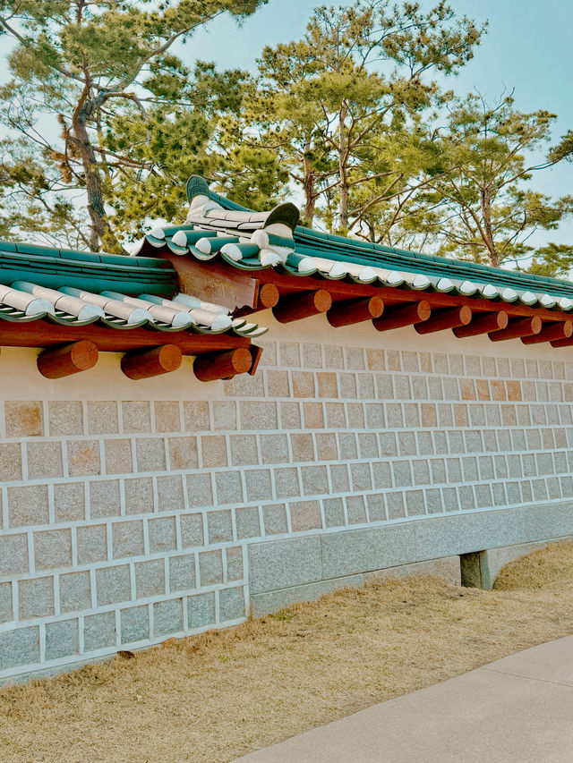 걷기 좋은 덕수궁 돌담길 🌸