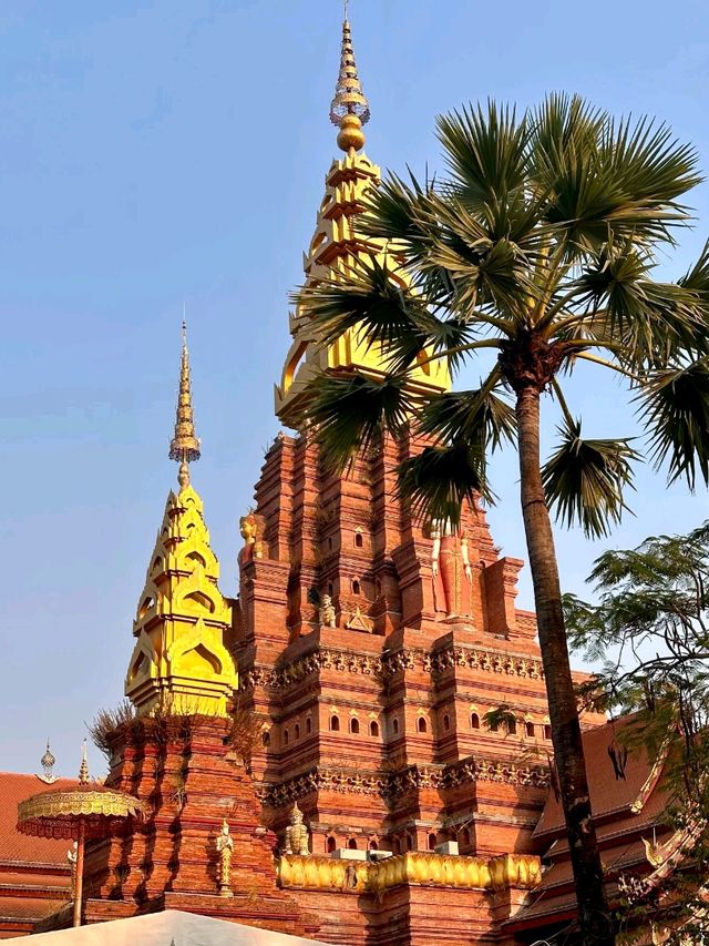 Jinghong Golden Pagoda: Spring’s Shimmer by Day and Night