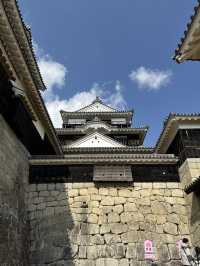 🏯 마쓰야마성, 일본의 숨은 고성 명소!