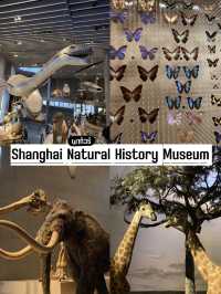 พาทัวร์ 📍Shanghai Natural History Museum