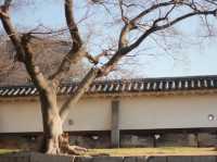 ชมเมืองประวัติศาสตร์ ณ ปราสาทโอซาก้า 