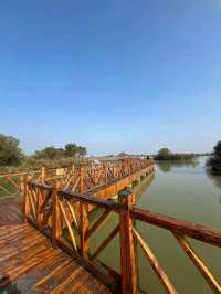 Yellow River Estuary Ecotourism Area – Gateway to China’s Mother River