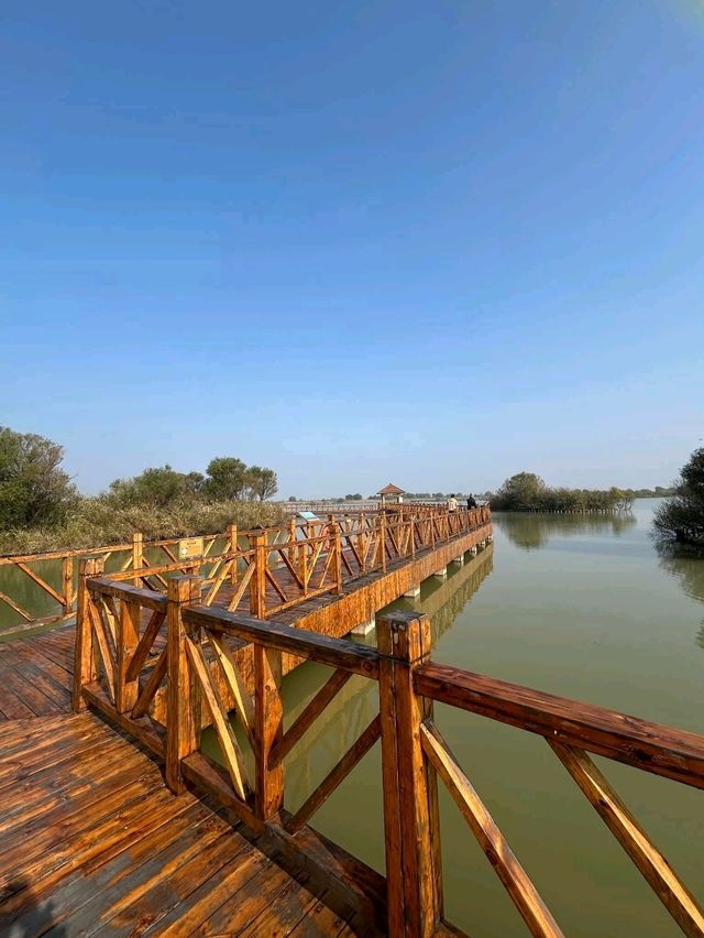 Yellow River Estuary Ecotourism Area – Gateway to China’s Mother River