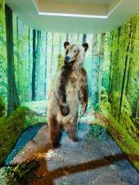 Discovering the Ulster Museum in Belfast