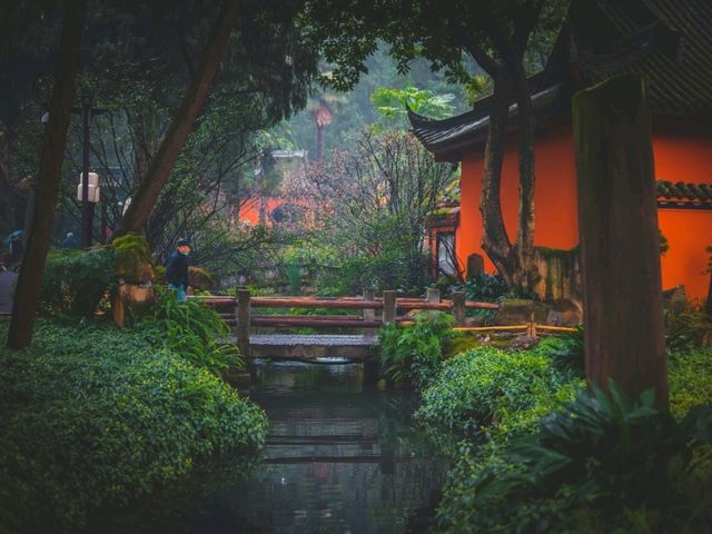 [🇨🇳成都] 三国志ファン必見！武侯祠で諸葛亮の知略に触れる旅