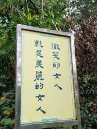 臺北四獸山之一#象山登山步道-臺北市信義區