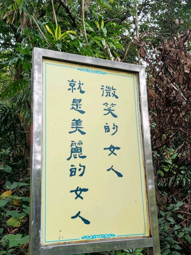 臺北四獸山之一#象山登山步道-臺北市信義區