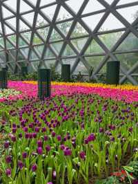 สวนดอกไม้เมืองหนาวระยอง