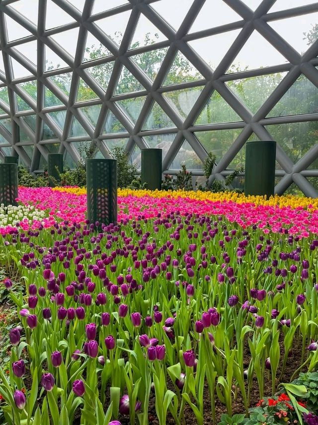 สวนดอกไม้เมืองหนาวระยอง