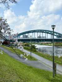 A Spring Stroll at Kyunakagawa Mizube Park