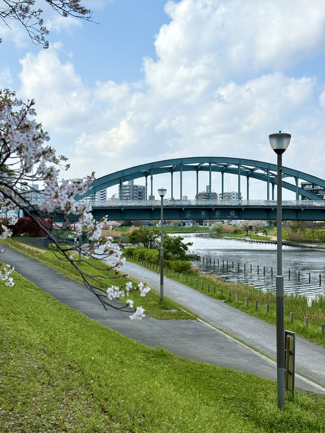 A Spring Stroll at Kyunakagawa Mizube Park