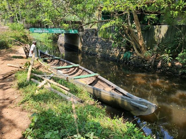 【コチ/インド】バックウォータークルーズ🛶