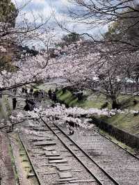 儚くも美しい京都へ