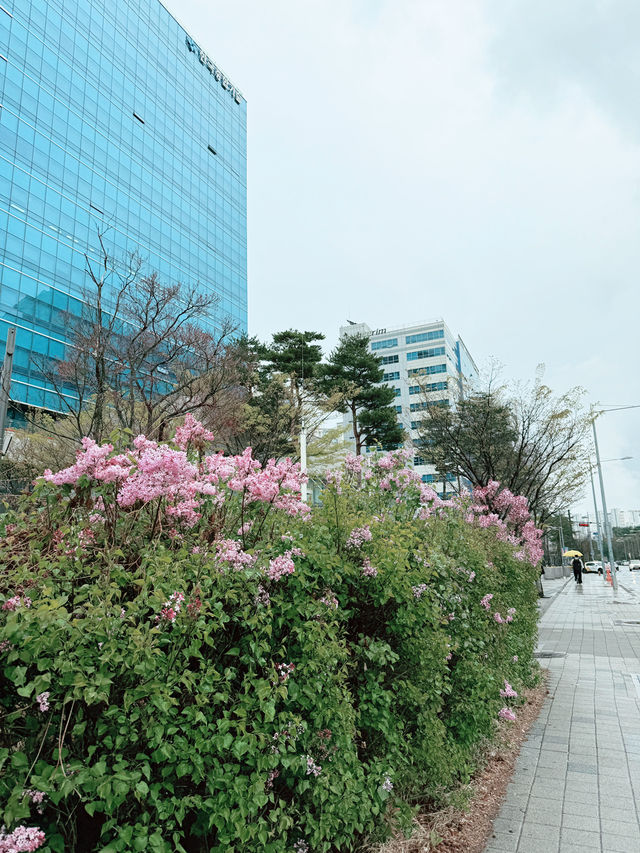 강동구 야외 데이트 장소 추천 🫶🏻🌷
