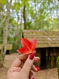 พิษณุโลก 5 วัน 4 คืน แบบไปเรื่อยๆ ไม่รีบ 🍁🌸