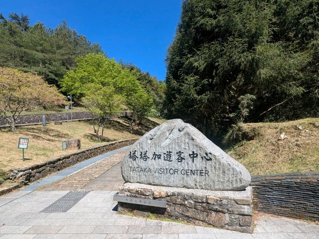 塔塔加遊客中心，想認識玉山生態來這兒就對了！