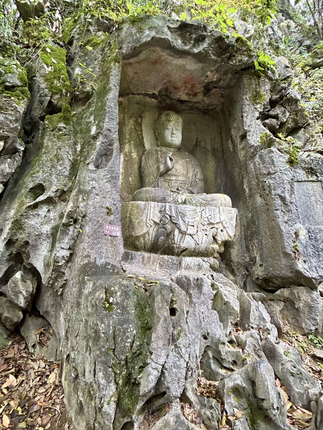 Lingyin Temple: Where Buddhas Dance in Forest Shadows 🌄🙏