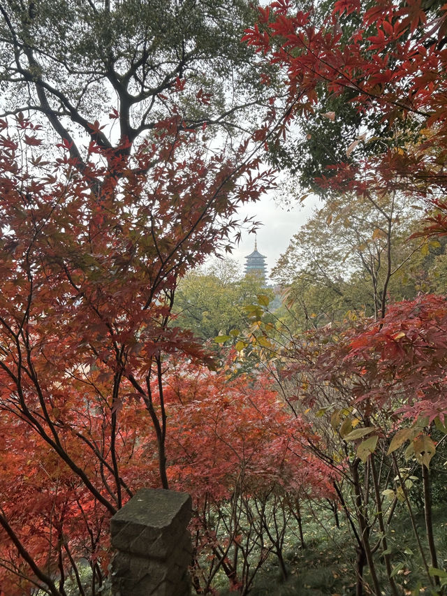 Jingci Temple: Echoes of Serenity Near West Lake 🍃🔔