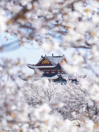Not Wuhan or Wuxi — it’s Shandong!