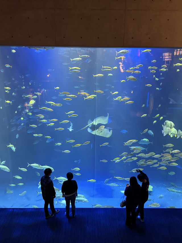 日本四國