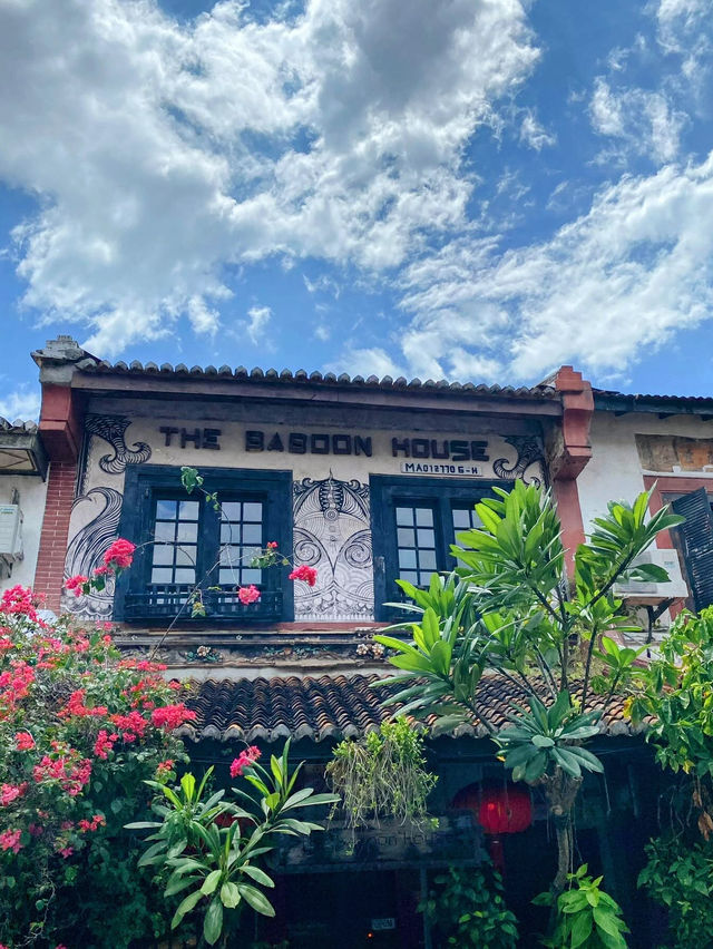 The Baboon House