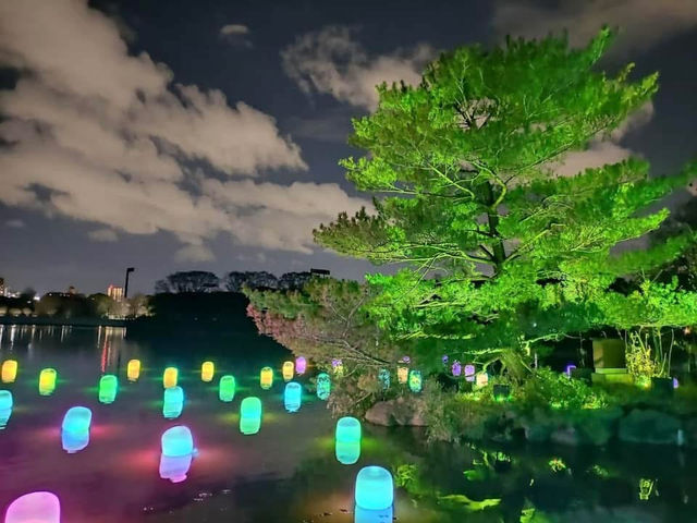大阪長居植物園💕燈光秀✨夢幻世界