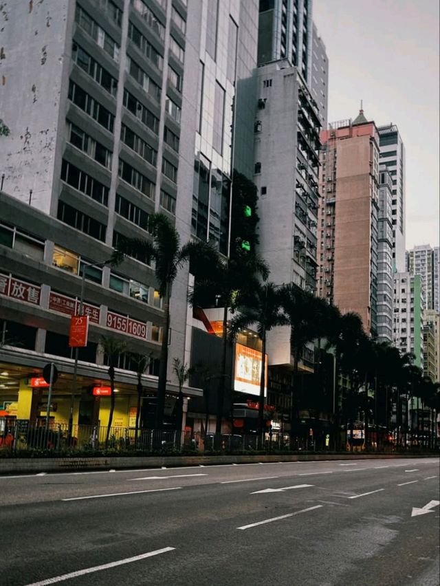  Hong Kong City: Neon Nights & Urban Delights! 🏙️✨