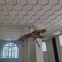 A Journey Through Nature: National Museum of Natural History 